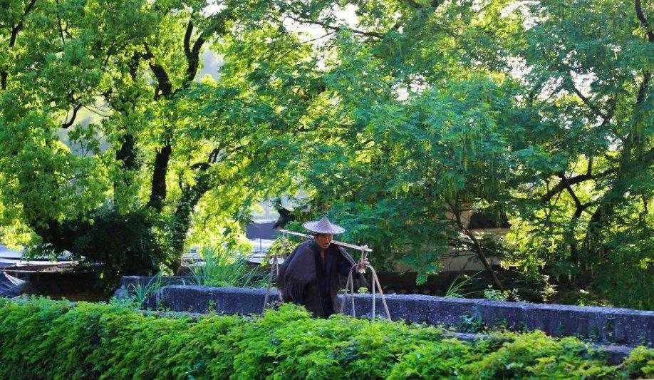 全民烧脑3去广告版