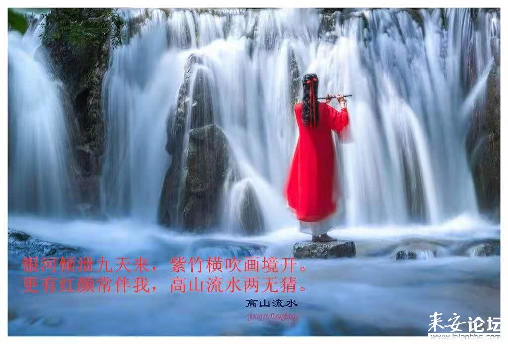 全民烧脑3去广告版